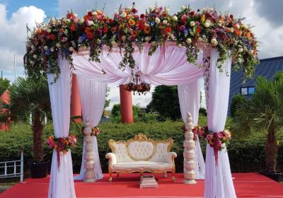 19990033 1996077040679382 3119052971859115548 N