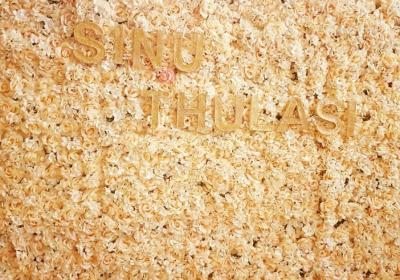 16388411 1900735680213519 8554125887213199519 N