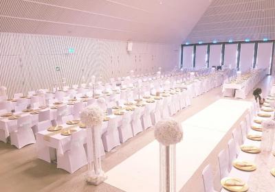 19420860 1983830848570668 8655602579222956282 N